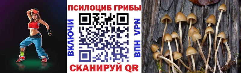 Галлюциногенные грибы MAGIC MUSHROOMS  kraken ТОР  Гвардейск 